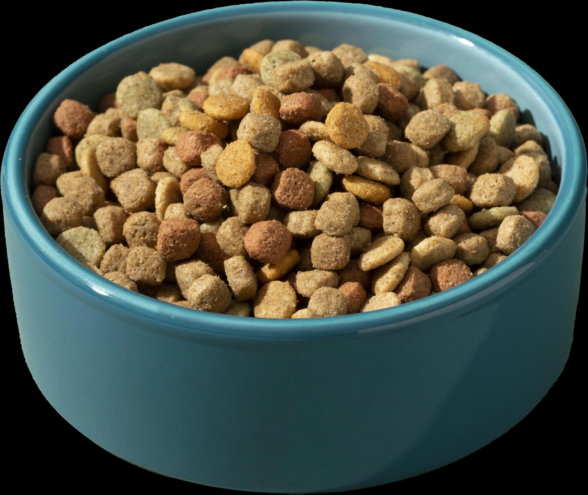 Accessoires, alimentations chiens & chats